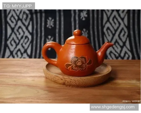 珍珠足球图的魅力与艺术价值探讨及其在现代设计中的应用分析