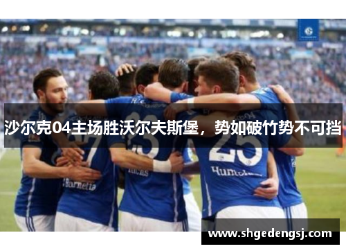 沙尔克04主场胜沃尔夫斯堡，势如破竹势不可挡