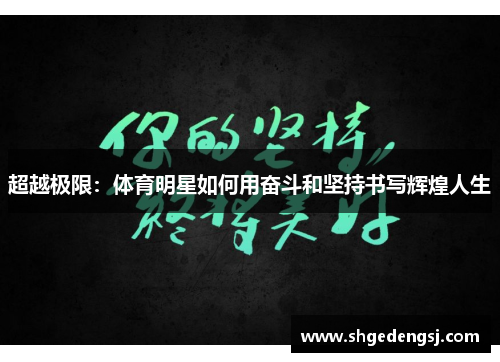 超越极限：体育明星如何用奋斗和坚持书写辉煌人生