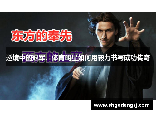 逆境中的冠军：体育明星如何用毅力书写成功传奇