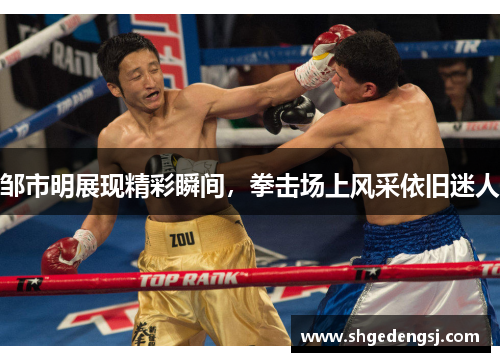 邹市明展现精彩瞬间，拳击场上风采依旧迷人