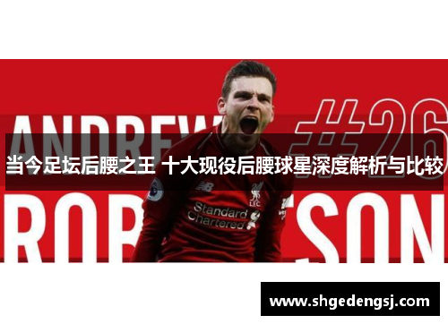 当今足坛后腰之王 十大现役后腰球星深度解析与比较