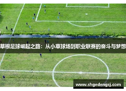 草根足球崛起之路：从小草球场到职业联赛的奋斗与梦想