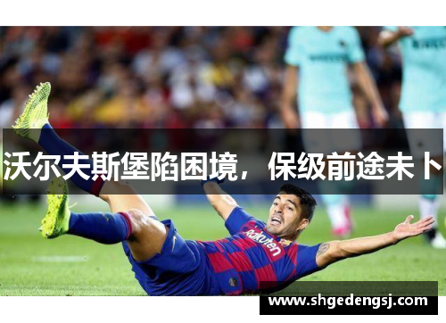 沃尔夫斯堡陷困境，保级前途未卜