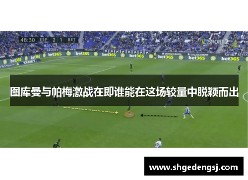图库曼与帕梅激战在即谁能在这场较量中脱颖而出