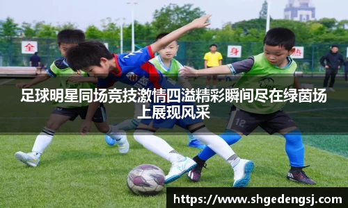 多宝电竞官方网站